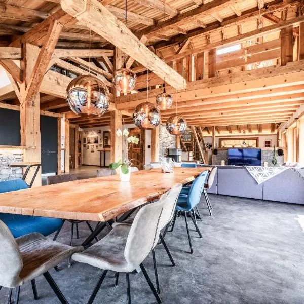 Le Perray Alpine Lodge，位于阿邦当斯的酒店