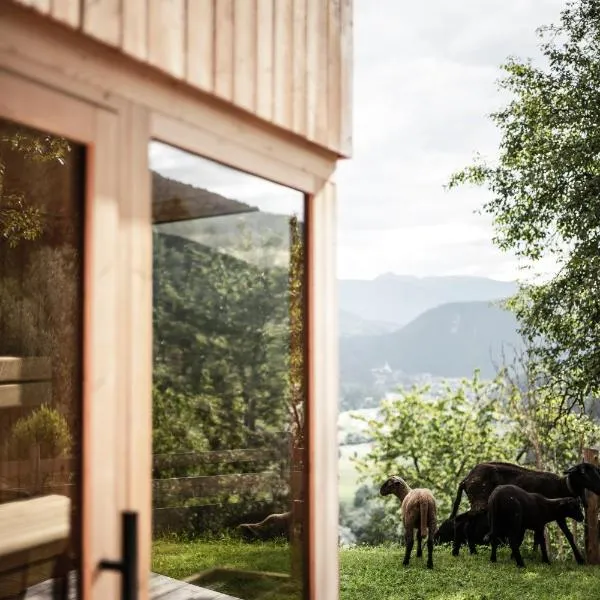 Oberplunerhof Luxury Chalet Woods，位于崔聂斯的酒店