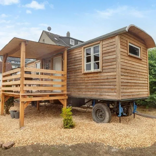Tiny House，位于洛费尔登的酒店