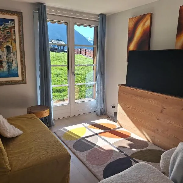 Alpine ski apartment - Petit Chatel，位于沙泰勒的酒店