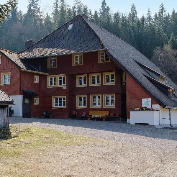 Alte Schmiede，位于费尔德伯格的酒店
