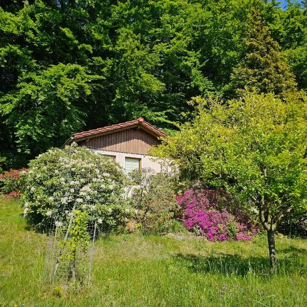 Ferienhaus am Wald mit Südblick，位于Steina的酒店