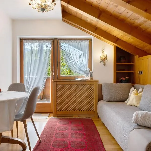 Mayr Apartments Fünf，位于普劳斯的酒店