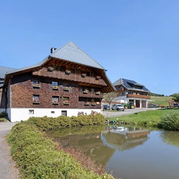 Kapellenhof Ferienwohnungen，位于特里贝格的酒店