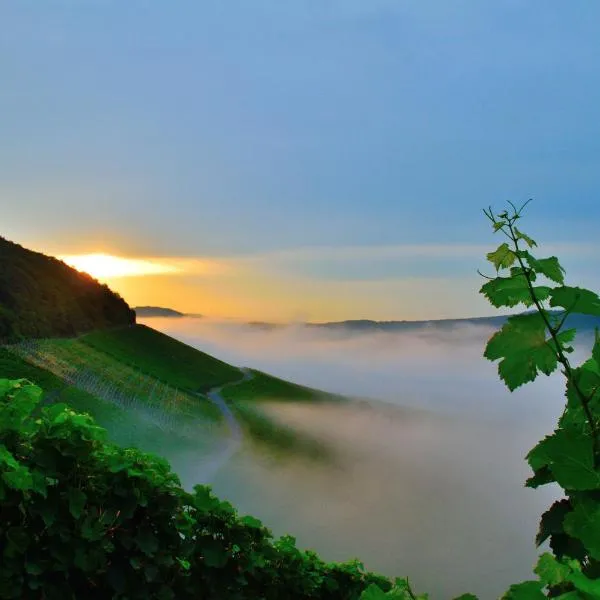 Winzerhof Düring，位于伊普霍芬的酒店