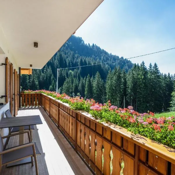 Bachwiesl Hof Apt Wies，位于Proves的酒店