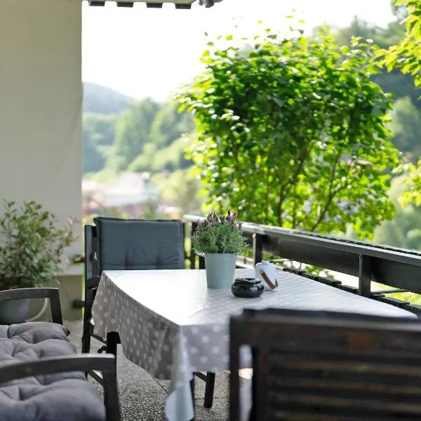 Ferienwohnung Am Lehen Schiltach，位于希尔塔赫的酒店
