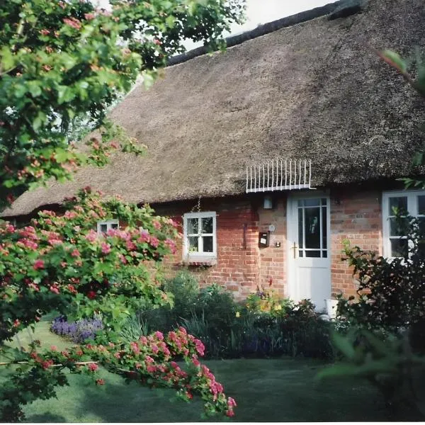 Friesenhaus Anke，位于Struckum的酒店