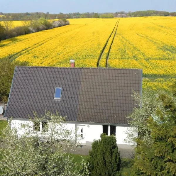 Kleines Haus am Feld，位于Rehna的酒店