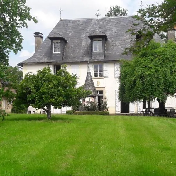 Chateau De Chaunac，位于纳维斯的酒店
