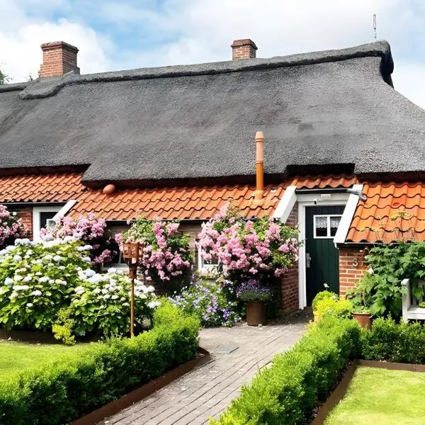Lüttje Reethuus，位于Südbrookmerland的酒店