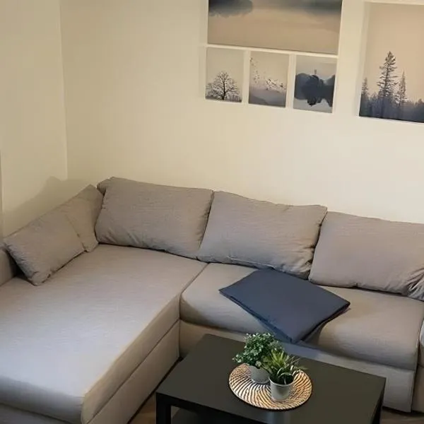 Ferienhaus Bella Haus am Harkebrügg，位于Barßel的酒店