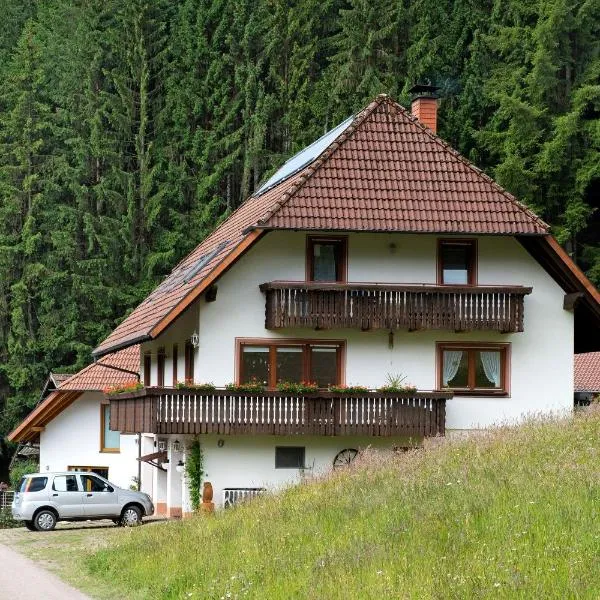 Ferienwohnung Ringwald，位于Niederbach的酒店