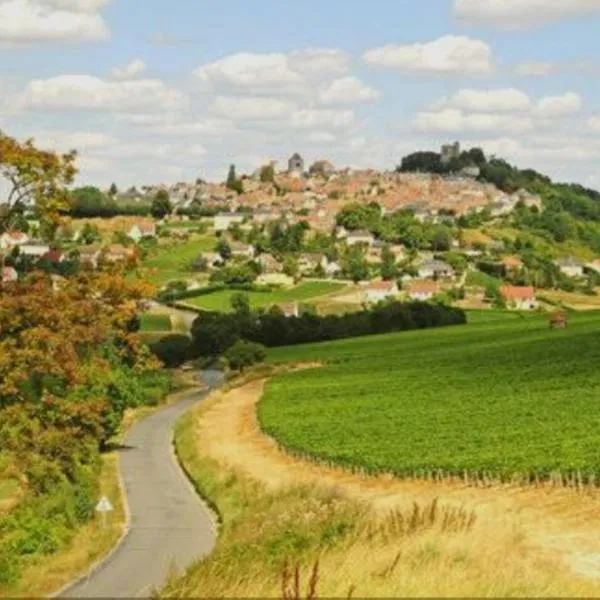 Entre vignes et Loire 2，位于Thauvenay的酒店