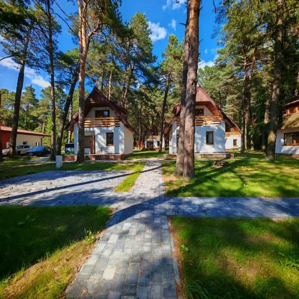 Domki nad Wierną Rzeką，位于亨齐内的酒店