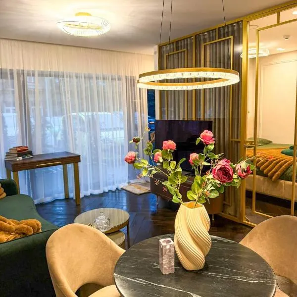 Vilnius Luxurious flat,位于维尔纽斯的酒店