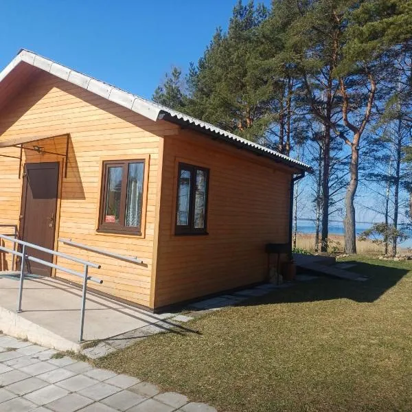 Rāznas ezera namiņš D1 ar elektrisko apkuri，位于Ragi的酒店