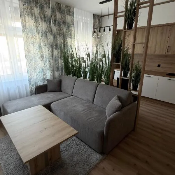 Nowoczesny Apartament w Centrum Żnin，位于日宁的酒店