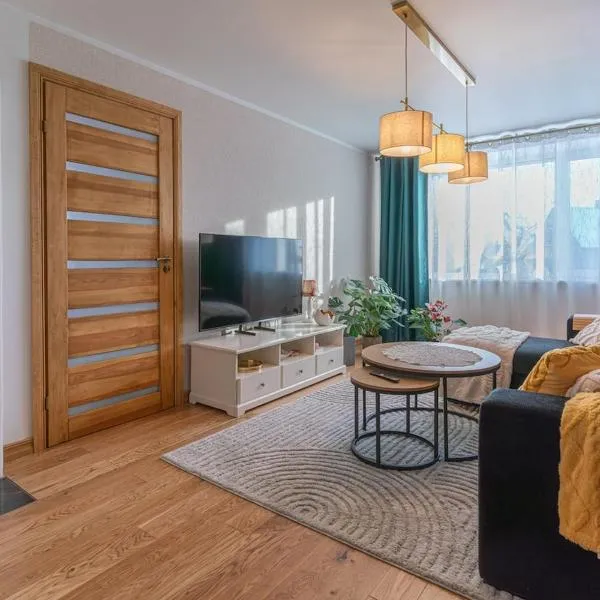 One bedroom apartment，位于维尔扬迪的酒店