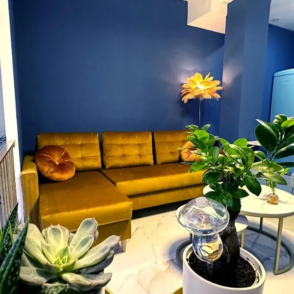 Chinatown Luxury Apartment，位于马德里的酒店
