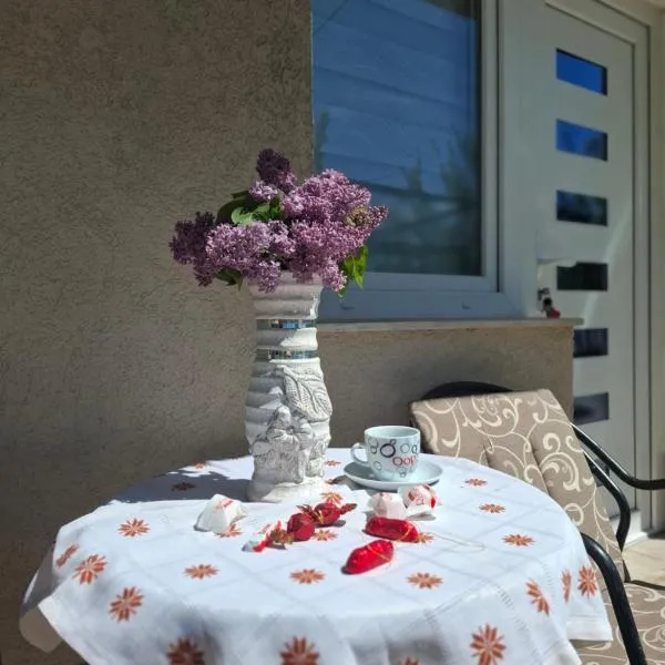 AMADA apartman，位于Vranješ的酒店