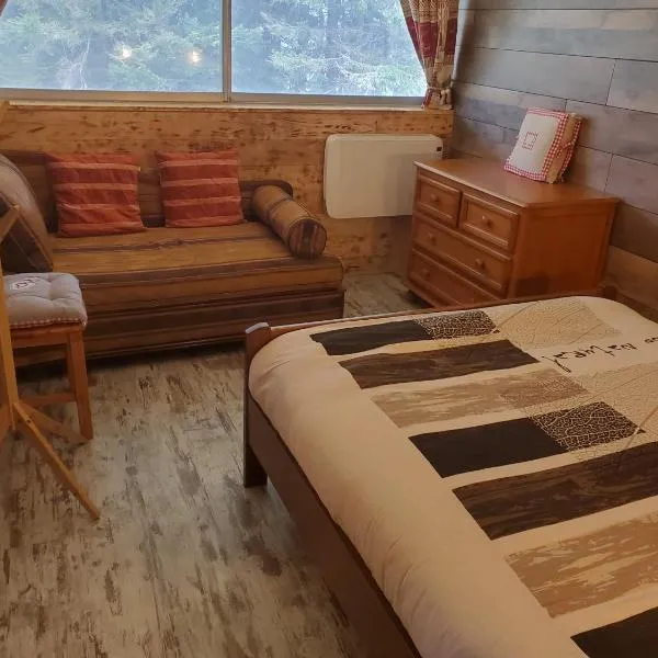 Appartement montagne style chalet，位于Vassivière的酒店