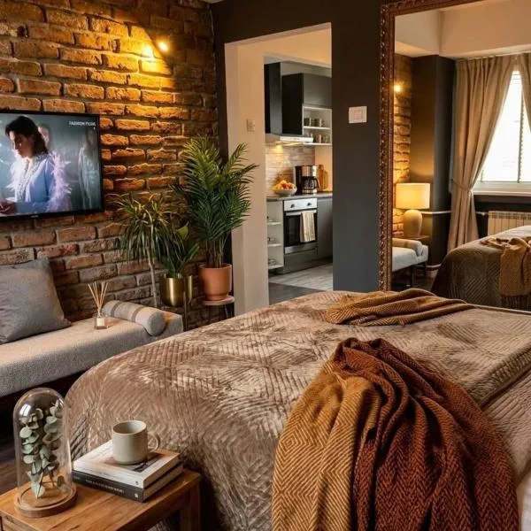 Vintage Cozy Suite,位于Vodno的酒店