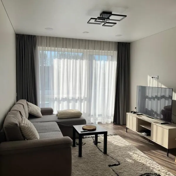 Modern apartment with Private parking - 10 min to airport, 15 min Center，位于维尔纽斯的酒店