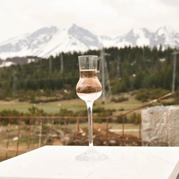 Villa Boris，位于Junčev Do的酒店