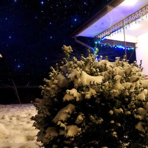 Usadba Okhotnichiy Dvor，位于Yabluniv的酒店