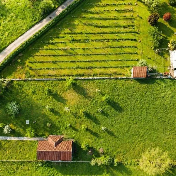 Green Little Cottage，位于Danilovgrad的酒店