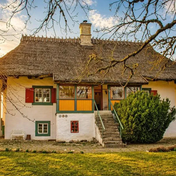 Tôlluste Villa，位于Tõlluste的酒店