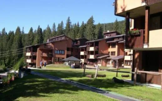 Madonna di Campiglio - Rio Falzè Apartments，位于摩德纳迪-坎皮格里奥的酒店