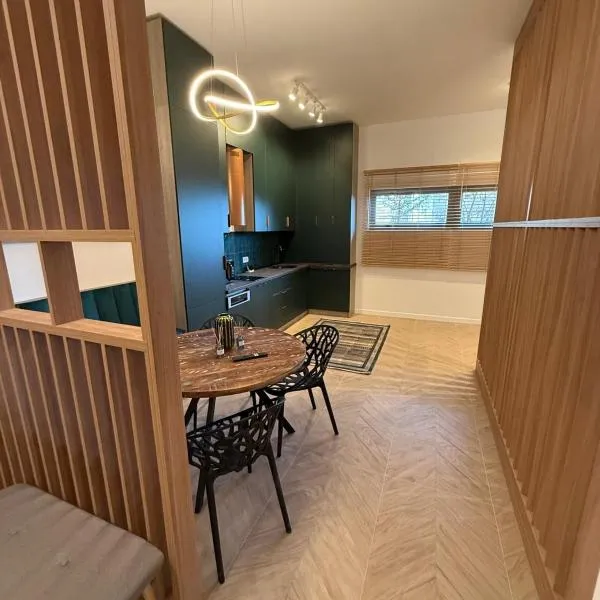 Tomis Villa Center Studio，位于康斯坦察的酒店