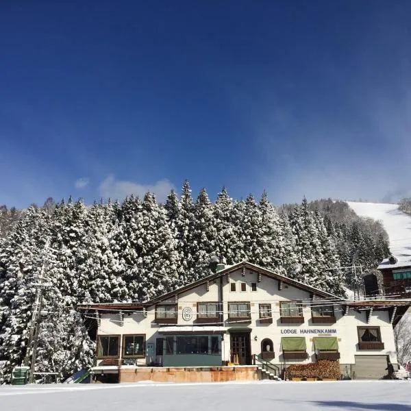 哈南卡姆山林小屋，位于野沢的酒店