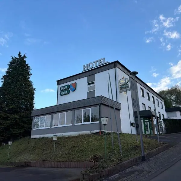 Wald Hotel，位于Kirschweiler的酒店