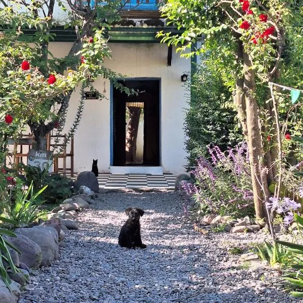 Onda Verde Hostel，位于圣萨尔瓦多德朱的酒店