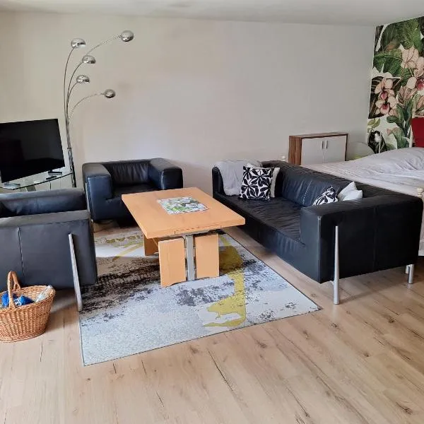 Ferienwohnung Maria Theresia，位于阿伦斯巴赫的酒店