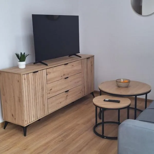 Apartament Sobieskiego nr 6，位于希维博津的酒店