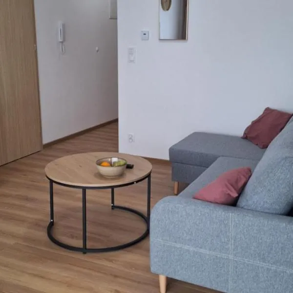 Apartament Sobieskiego nr 4, bezpłatny parking，位于希维博津的酒店