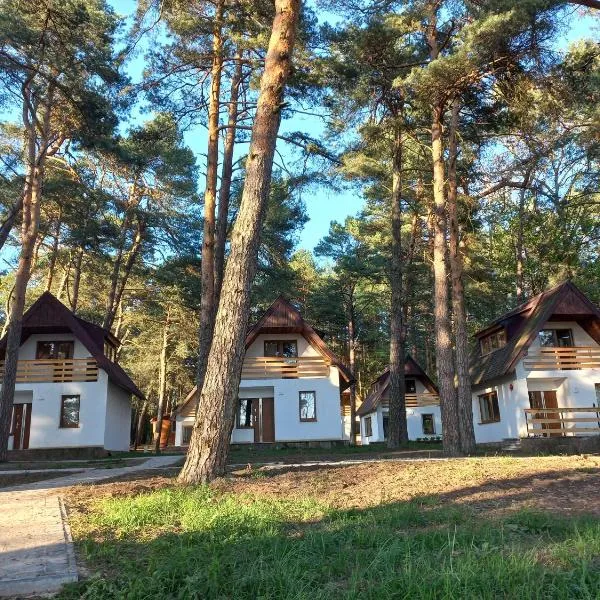 Domki nad Wierną Rzeką，位于Bocheniec的酒店
