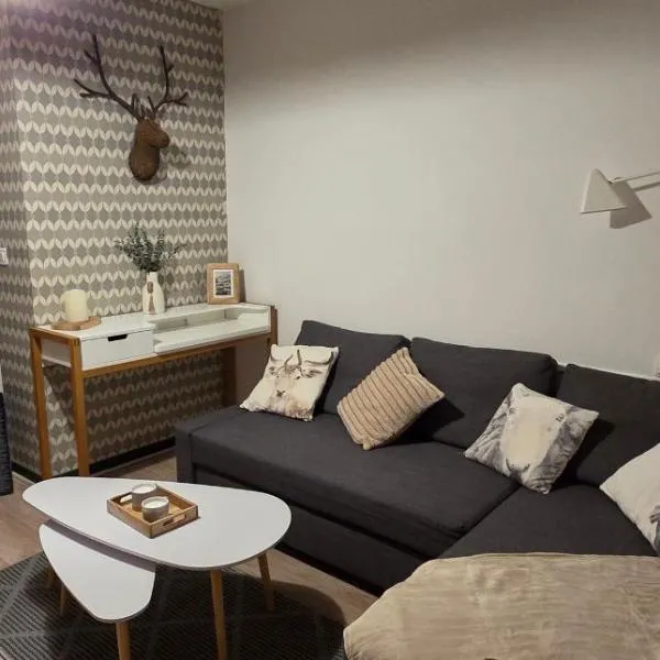 Appartement T1 Superdévoluy 6 personnes，位于德沃吕伊的酒店