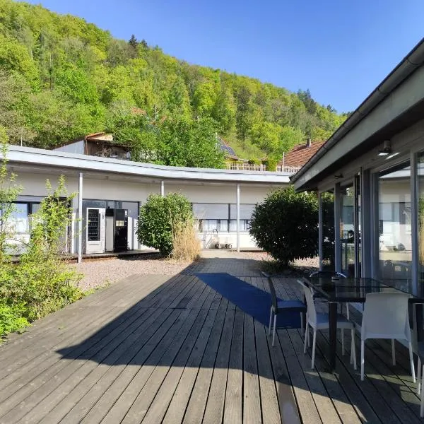 Arena Hotel Waldshut，位于瓦尔茨胡特田根的酒店