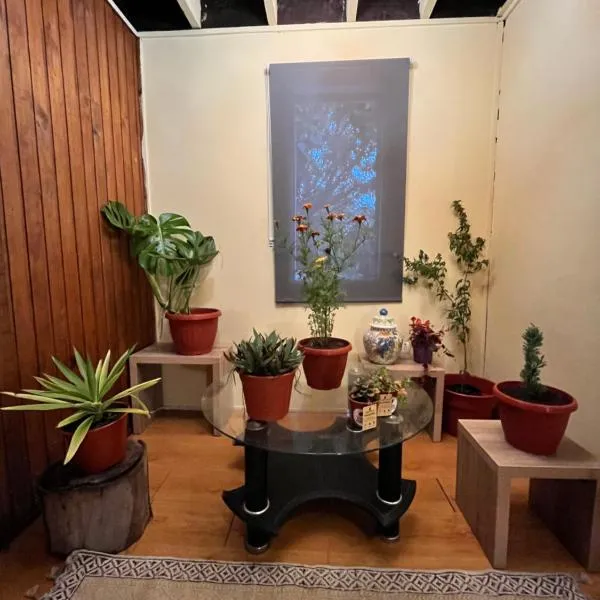 Cochrane hostal，位于洛斯安赫莱斯的酒店