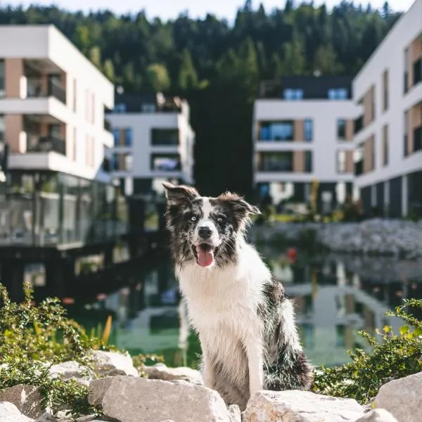VISLOW Resort，位于维斯瓦的酒店