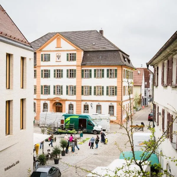 Marktplatz-Hotel Ochsen，位于埃欣根的酒店
