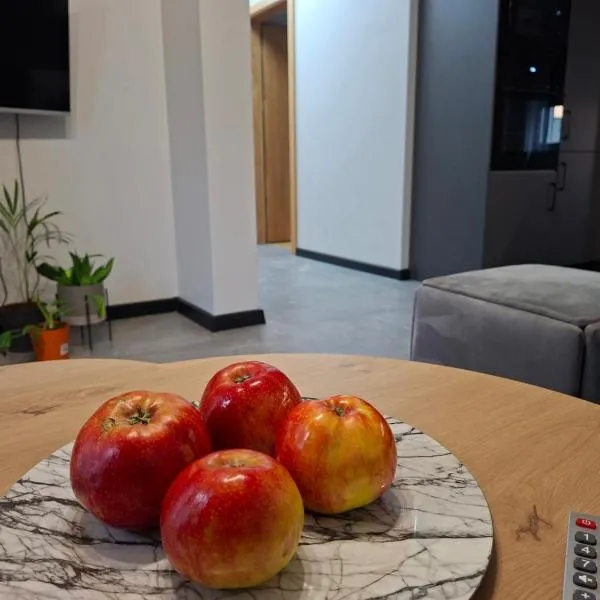 Apartament 3 - OpolskieNoclegi，位于克拉普科维采的酒店