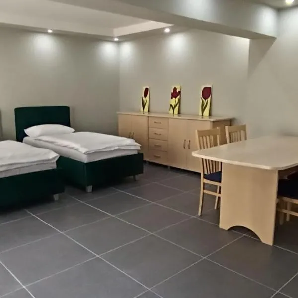 Central Studio Abrud,位于Abrud的酒店
