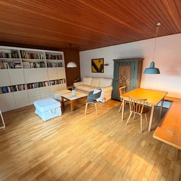 Donau Apartment，位于Sinzing的酒店