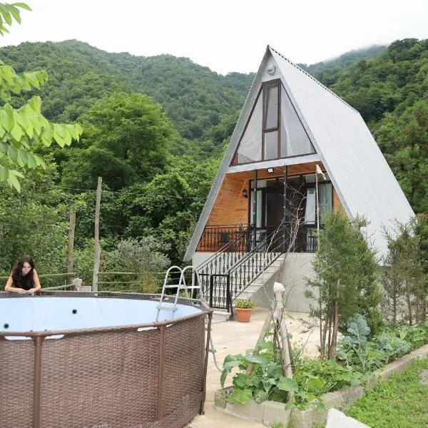 LUNEA cottage,位于Machakhlispiri的酒店